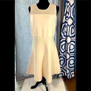 SUPER stretchy A-line Ann Taylor dress